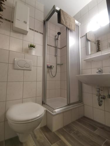 a bathroom with a shower and a toilet and a sink at Ferienwohnung Glockenberg - Westphal in Altenau