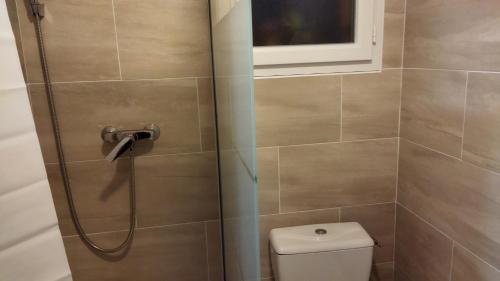 une salle de bain avec douche, toilettes et fenêtre dans l'établissement chambre d'amis, à Livron-sur-Drôme