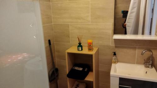 une petite salle de bain avec un lavabo et une douche dans l'établissement chambre d'amis, à Livron-sur-Drôme