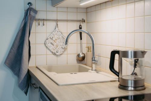 a kitchen counter with a sink and a mixer at Paradies Für Zwei in Frauenkirchen