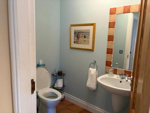 a bathroom with a toilet and a sink at 3 bedroom townhouse in the heart of Kenmare in Kenmare