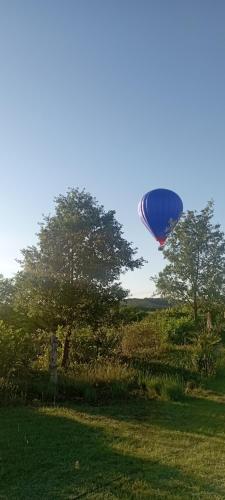 Φωτογραφία από το άλμπουμ του Les Terrasses du Carlat "Le four à pain", situation idéale pour visiter la Dordogne, piscine, jardin, parc, charme σε Saint-Cybranet