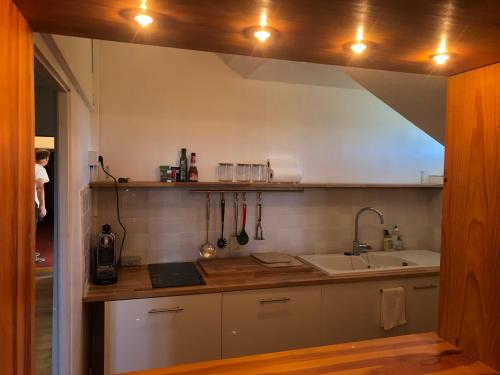 une cuisine avec un évier et un plan de travail dans l'établissement Appartement montagne Le Revard, à Pugny-Chatenod