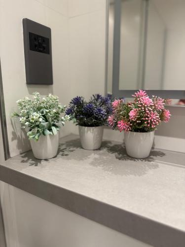 three potted plants sitting on a counter in front of a mirror at The Marina Nest with Rooftop Pools 