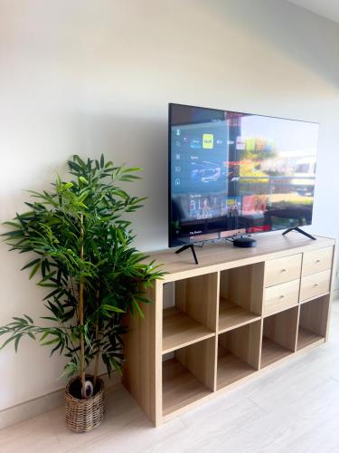 a flat screen tv on a wooden entertainment center with a plant at The Marina Nest with Rooftop Pools 