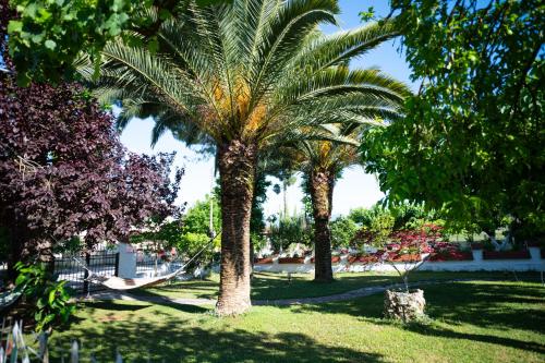 two palm trees in a park with a slide at Country House Elaionas 