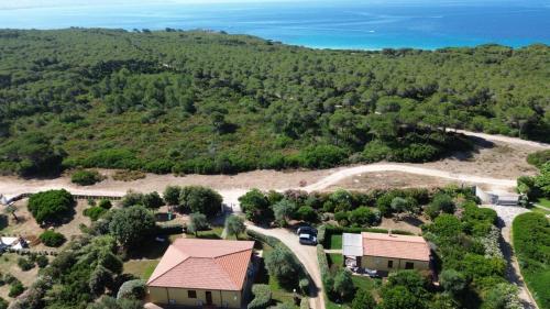 an aerial view of a house and the ocean at Rosanna House in Bombarde Beach in Alghero