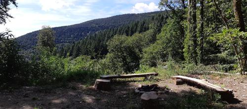 Photo de la galerie de l'établissement Cabane Chalet isolé en pleine forêt, à Lespinassière