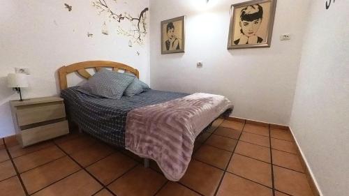 a bedroom with a bed with a blanket on it at Apartamento Liz in Tías