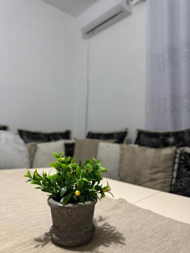 Fotografie z fotogalerie ubytování Sea You Soon Apartment v destinaci Shëngjin