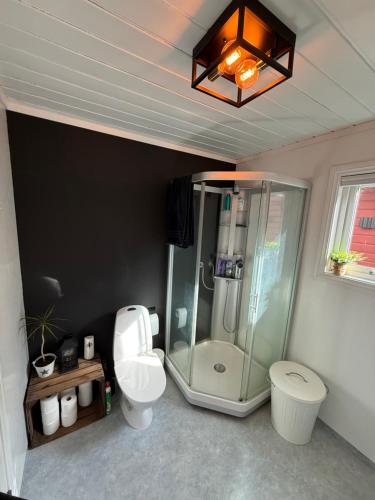 a bathroom with a glass shower and a toilet at Landlig hytte med jacuzzi in Lyngdal
