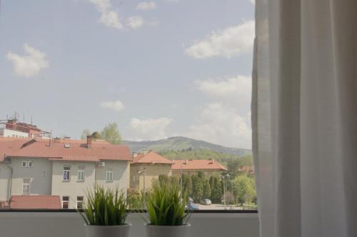 a view of a city from a window with plants at Apartments Centrum in Rožnov pod Radhoštěm