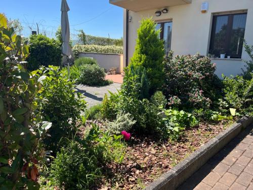 a garden in front of a house at Casa Titti in AREZZO in Arezzo
