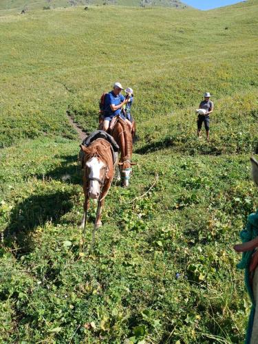two men riding on a horse in a field at Jusup Guest House, Hostel in Dzhangyaryk
