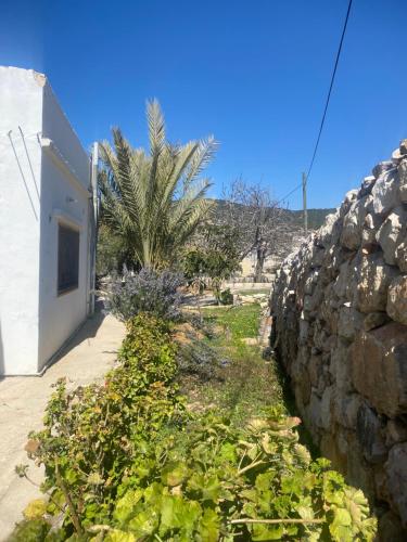 a garden next to a stone wall at Leith Holiday Home in ‘Ayn Jannā