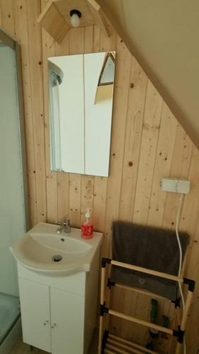 a bathroom with a sink and a mirror at Veselia Glamping in Valea Drăganului