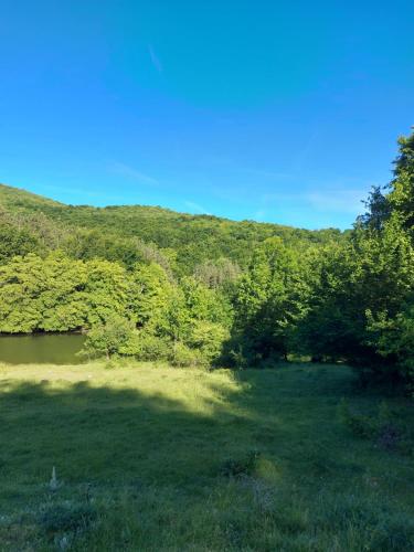 a grassy field with trees and a river at Apartman Mia in Perušić