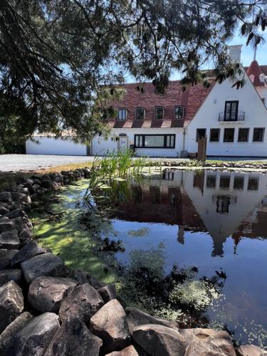 a house with a pond in front of it at The Cotton Suites B&B in Deerlijk