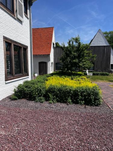 a bush with yellow flowers in front of a house at The Cotton Suites B&B in Deerlijk