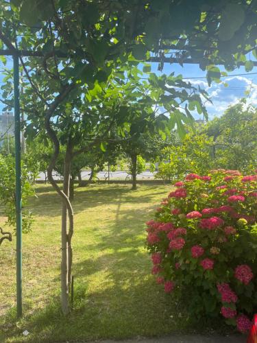 a garden with pink flowers and a tree at R&S two bedroom apartment in Podgorica