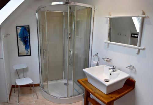 une salle de bain avec douche et lavabo dans l'établissement Charmante maison bretonne, à Séglien