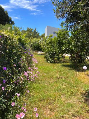 a field of flowers with a building in the background at Lemon Loft in Preveza