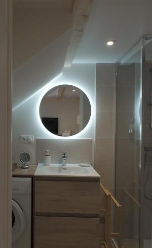 une salle de bain avec un lavabo, un miroir et une douche dans l'établissement L'Abeille Du Moulin, à Cluny