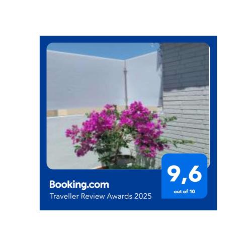a picture of a flower pot with purple flowers at Roque's House in Telde