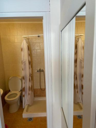 a bathroom with a toilet and a shower at Samothraki Therma Noula Rooms in Samothraki