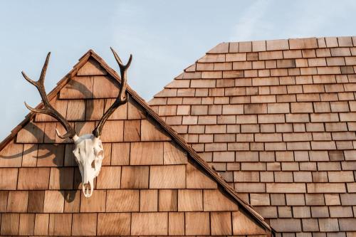 Children staying at The Bell in Ticehurst 