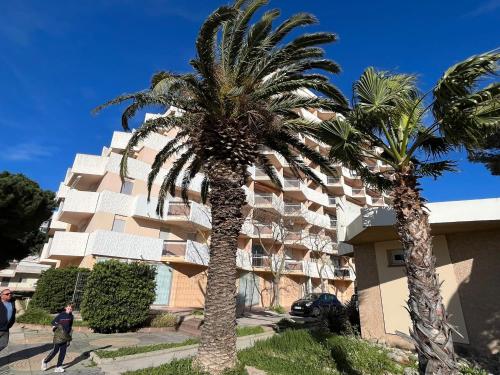 deux palmiers devant un bâtiment dans l'établissement À Deux Pas de la Mer charmant T2, à Canet