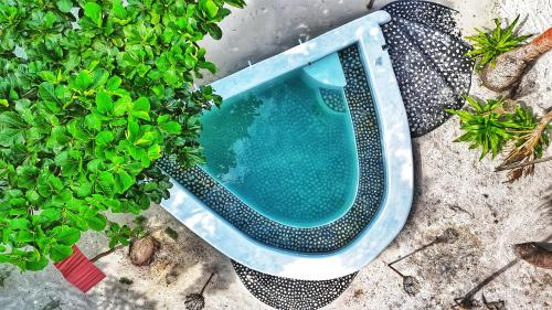a swimming pool in a planter next to a plant at Villa Maayun, a nest in paradise in Letman