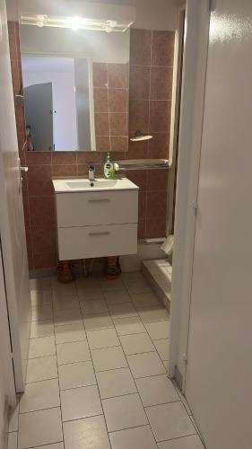 une salle de bain avec un lavabo et une douche avec un miroir dans l'établissement Bel appartement proche des plages, à Sète