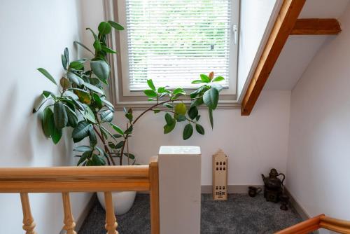 a room with plants and a window and a bench at Munnik's Hof in Amsterdam