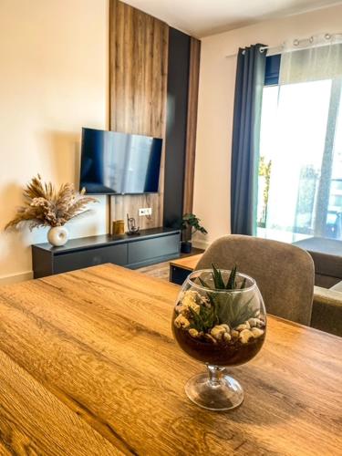 TV a/nebo společenská místnost v ubytování Soho Apartments