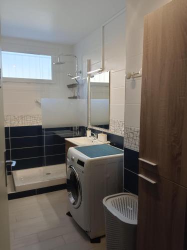 a bathroom with a washing machine and a sink at F3 Meublé Rdc Amélie-les-Bains in Amélie-les-Bains-Palalda
