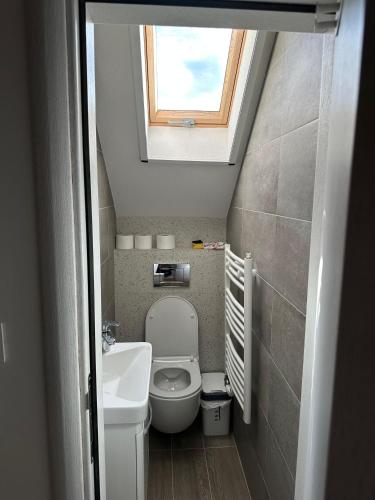 a small bathroom with a toilet and a window at Uvački Eko Biser 