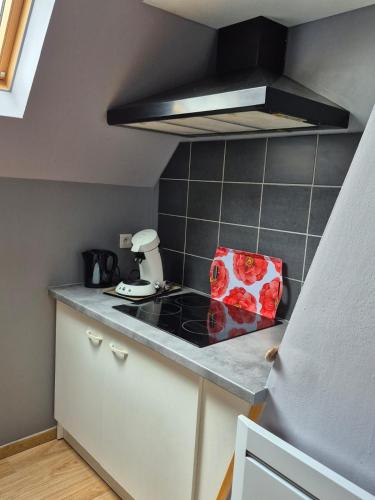Una cocina o zona de cocina en Duplex Vauban