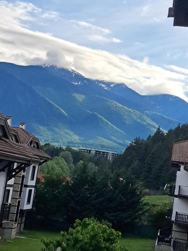 a view of a mountain from a house at Sunny Mountain View apartment in Razlog