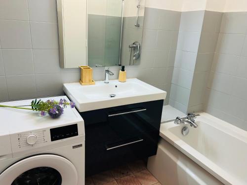 une salle de bain avec un lavabo et une machine à laver dans l'établissement Soleil confort riquier & Espace 4 P tout equipé, à Nice