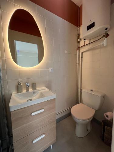 une salle de bain avec un lavabo, des toilettes et un miroir dans l'établissement Studio au cœur d Amiens, à Amiens