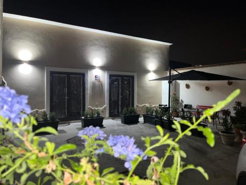 Κήπος έξω από το B&B Domus Joannina