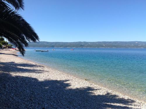 a beach with a palm tree and the water at Villa Ivan Stanici in Omiš