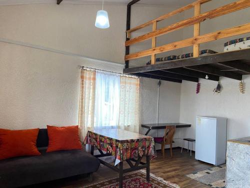 a living room with a couch and a loft bed at Пансионат Абрикос in Dolinka