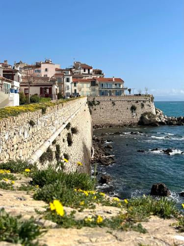 Antibes Lovely apartment