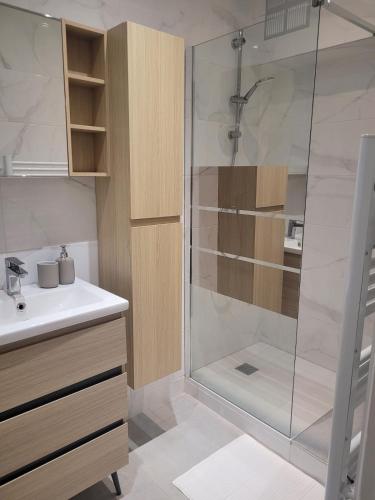 une salle de bain avec douche et lavabo dans l'établissement T2 rez de jardin de villa au calme, à Nice