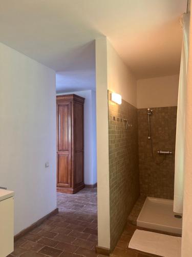a bathroom with a walk in shower and a toilet at Collina di Sopra in Tresana