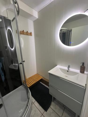 une salle de bain avec un lavabo, une douche et un miroir dans l'établissement Les horizons de Jules, à Amiens