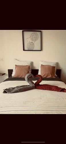 two beds with blankets and pillows on top of them at Pleasant Garden in Douvaine