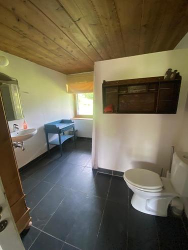 un baño con inodoro y lavabo en Logement individuel 3 pièces dans chalet, en Glières-Val-de-Borne